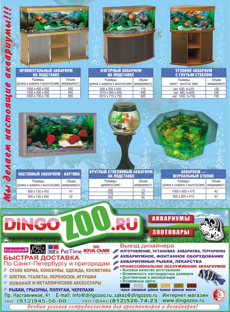 dingozoo modul big